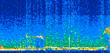 /calipso-imagery/data/BROWSE/production/V5-00/2021-02-20/2021-02-20_21-57-25_V5.00_3_thmb.png image missing