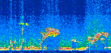 /calipso-imagery/data/BROWSE/production/V5-00/2021-03-04/2021-03-04_01-37-29_V5.00_3_thmb.png image missing