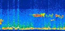 /calipso-imagery/data/BROWSE/production/V5-00/2021-03-04/2021-03-04_08-11-34_V5.00_2_thmb.png image missing