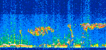 /calipso-imagery/data/BROWSE/production/V5-00/2021-03-04/2021-03-04_09-50-05_V5.00_2_thmb.png image missing