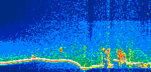 /calipso-imagery/data/BROWSE/production/V5-00/2021-03-04/2021-03-04_13-07-10_V5.00_1_thmb.png image missing