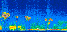/calipso-imagery/data/BROWSE/production/V5-00/2021-03-04/2021-03-04_14-45-40_V5.00_3_thmb.png image missing