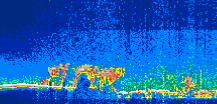 /calipso-imagery/data/BROWSE/production/V5-00/2021-03-04/2021-03-04_16-24-10_V5.00_1_thmb.png image missing