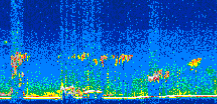 /calipso-imagery/data/BROWSE/production/V5-00/2021-03-04/2021-03-04_19-41-16_V5.00_3_thmb.png image missing