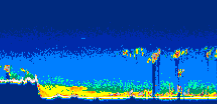 /calipso-imagery/data/BROWSE/production/V5-00/2021-03-04/2021-03-04_20-33-41_V5.00_2_thmb.png image missing