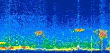 /calipso-imagery/data/BROWSE/production/V5-00/2021-03-29/2021-03-29_12-29-45_V5.00_3_thmb.png image missing