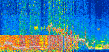 /calipso-imagery/data/BROWSE/production/V5-00/2021-03-29/2021-03-29_19-03-51_V5.00_2_thmb.png image missing
