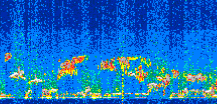/calipso-imagery/data/BROWSE/production/V5-00/2021-03-29/2021-03-29_23-59-27_V5.00_3_thmb.png image missing