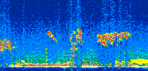 /calipso-imagery/data/BROWSE/production/V5-00/2021-04-01/2021-04-01_09-27-54_V5.00_2_thmb.png image missing