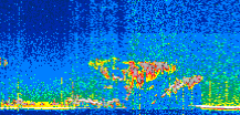 /calipso-imagery/data/BROWSE/production/V5-00/2021-04-01/2021-04-01_17-40-30_V5.00_3_thmb.png image missing