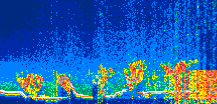 /calipso-imagery/data/BROWSE/production/V5-00/2021-04-02/2021-04-02_18-18-23_V5.00_1_thmb.png image missing