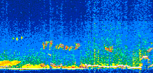 /calipso-imagery/data/BROWSE/production/V5-00/2021-04-04/2021-04-04_16-17-09_V5.00_3_thmb.png image missing
