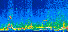 /calipso-imagery/data/BROWSE/production/V5-00/2021-04-04/2021-04-04_17-55-44_V5.00_3_thmb.png image missing
