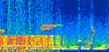 /calipso-imagery/data/BROWSE/production/V5-00/2021-04-04/2021-04-04_19-34-14_V5.00_2_thmb.png image missing