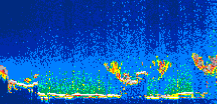 /calipso-imagery/data/BROWSE/production/V5-00/2021-04-04/2021-04-04_22-51-20_V5.00_1_thmb.png image missing