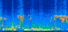 /calipso-imagery/data/BROWSE/production/V5-00/2021-04-04/2021-04-04_22-51-20_V5.00_2_thmb.png image missing