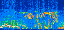 /calipso-imagery/data/BROWSE/production/V5-00/2021-04-06/2021-04-06_04-24-44_V5.00_2_thmb.png image missing