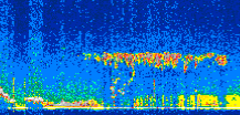 /calipso-imagery/data/BROWSE/production/V5-00/2021-04-06/2021-04-06_07-41-49_V5.00_2_thmb.png image missing