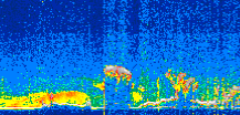 /calipso-imagery/data/BROWSE/production/V5-00/2021-04-06/2021-04-06_10-58-54_V5.00_3_thmb.png image missing