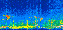 /calipso-imagery/data/BROWSE/production/V5-00/2021-04-06/2021-04-06_19-11-30_V5.00_3_thmb.png image missing