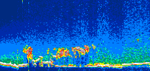 /calipso-imagery/data/BROWSE/production/V5-00/2021-04-07/2021-04-07_00-07-06_V5.00_1_thmb.png image missing
