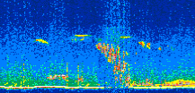 /calipso-imagery/data/BROWSE/production/V5-00/2021-04-07/2021-04-07_05-02-42_V5.00_2_thmb.png image missing