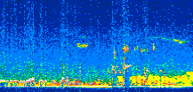 /calipso-imagery/data/BROWSE/production/V5-00/2021-04-07/2021-04-07_08-19-42_V5.00_2_thmb.png image missing