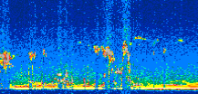 /calipso-imagery/data/BROWSE/production/V5-00/2021-04-07/2021-04-07_09-58-17_V5.00_2_thmb.png image missing