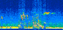 /calipso-imagery/data/BROWSE/production/V5-00/2021-04-08/2021-04-08_02-23-29_V5.00_2_thmb.png image missing