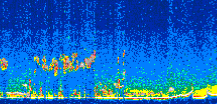 /calipso-imagery/data/BROWSE/production/V5-00/2021-04-08/2021-04-08_10-36-10_V5.00_2_thmb.png image missing