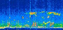 /calipso-imagery/data/BROWSE/production/V5-00/2021-04-08/2021-04-08_12-14-41_V5.00_2_thmb.png image missing