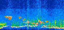 /calipso-imagery/data/BROWSE/production/V5-00/2021-04-08/2021-04-08_20-27-17_V5.00_3_thmb.png image missing