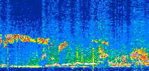 /calipso-imagery/data/BROWSE/production/V5-00/2021-04-08/2021-04-08_22-05-52_V5.00_3_thmb.png image missing