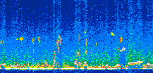/calipso-imagery/data/BROWSE/production/V5-00/2021-04-08/2021-04-08_23-44-22_V5.00_2_thmb.png image missing