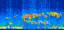 /calipso-imagery/data/BROWSE/production/V5-00/2021-04-13/2021-04-13_03-54-30_V5.00_2_thmb.png image missing