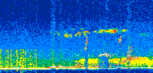 /calipso-imagery/data/BROWSE/production/V5-00/2021-04-13/2021-04-13_13-45-36_V5.00_2_thmb.png image missing