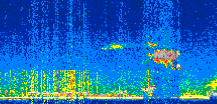 /calipso-imagery/data/BROWSE/production/V5-00/2021-04-13/2021-04-13_20-19-42_V5.00_2_thmb.png image missing