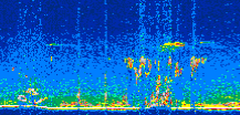 /calipso-imagery/data/BROWSE/production/V5-00/2021-04-14/2021-04-14_06-10-53_V5.00_2_thmb.png image missing