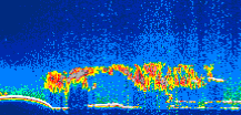 /calipso-imagery/data/BROWSE/production/V5-00/2021-04-14/2021-04-14_07-49-23_V5.00_1_thmb.png image missing