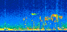 /calipso-imagery/data/BROWSE/production/V5-00/2021-04-17/2021-04-17_01-30-26_V5.00_2_thmb.png image missing