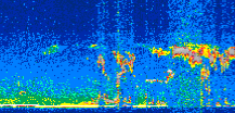 /calipso-imagery/data/BROWSE/production/V5-00/2021-04-17/2021-04-17_04-47-32_V5.00_2_thmb.png image missing