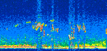 /calipso-imagery/data/BROWSE/production/V5-00/2021-04-17/2021-04-17_09-43-07_V5.00_2_thmb.png image missing