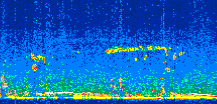 /calipso-imagery/data/BROWSE/production/V5-00/2021-04-17/2021-04-17_21-12-44_V5.00_2_thmb.png image missing