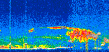 /calipso-imagery/data/BROWSE/production/V5-00/2021-04-25/2021-04-25_04-55-01_V5.00_3_thmb.png image missing