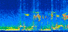 /calipso-imagery/data/BROWSE/production/V5-00/2021-04-25/2021-04-25_06-33-31_V5.00_2_thmb.png image missing