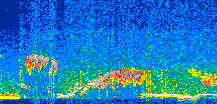 /calipso-imagery/data/BROWSE/production/V5-00/2021-04-25/2021-04-25_18-03-13_V5.00_3_thmb.png image missing
