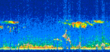 /calipso-imagery/data/BROWSE/production/V5-00/2021-04-29/2021-04-29_00-52-22_V5.00_2_thmb.png image missing