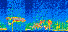 /calipso-imagery/data/BROWSE/production/V5-00/2021-04-29/2021-04-29_04-09-23_V5.00_3_thmb.png image missing