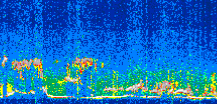 /calipso-imagery/data/BROWSE/production/V5-00/2021-04-29/2021-04-29_09-04-58_V5.00_3_thmb.png image missing