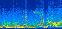 /calipso-imagery/data/BROWSE/production/V5-00/2021-04-29/2021-04-29_10-43-29_V5.00_2_thmb.png image missing